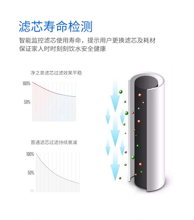 净之泉小龙豚A1_11.jpg