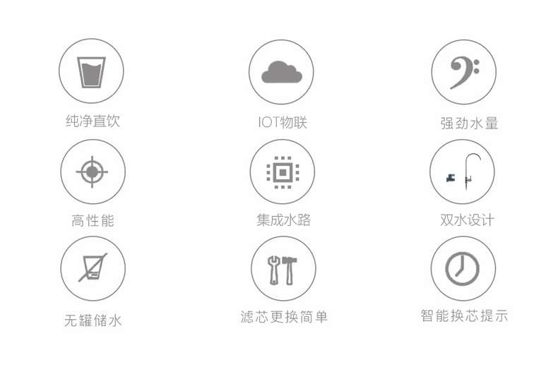 大龙豚详情_02.jpg