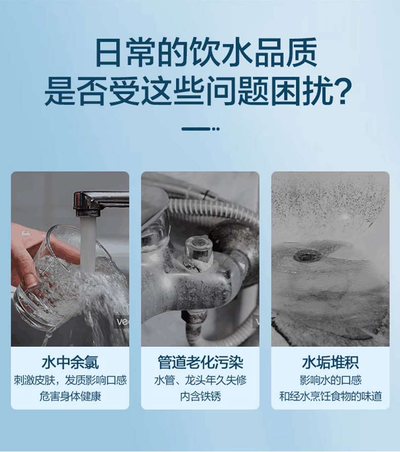 大龙豚详情_06.jpg