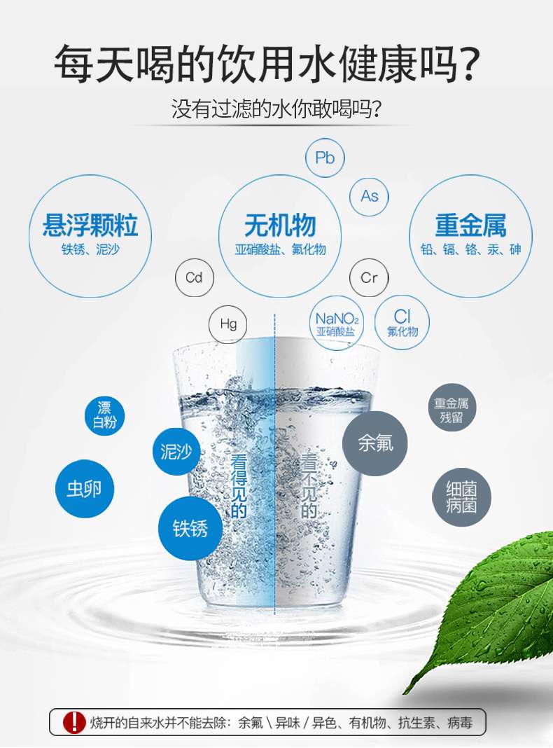 大龙豚详情_07.jpg