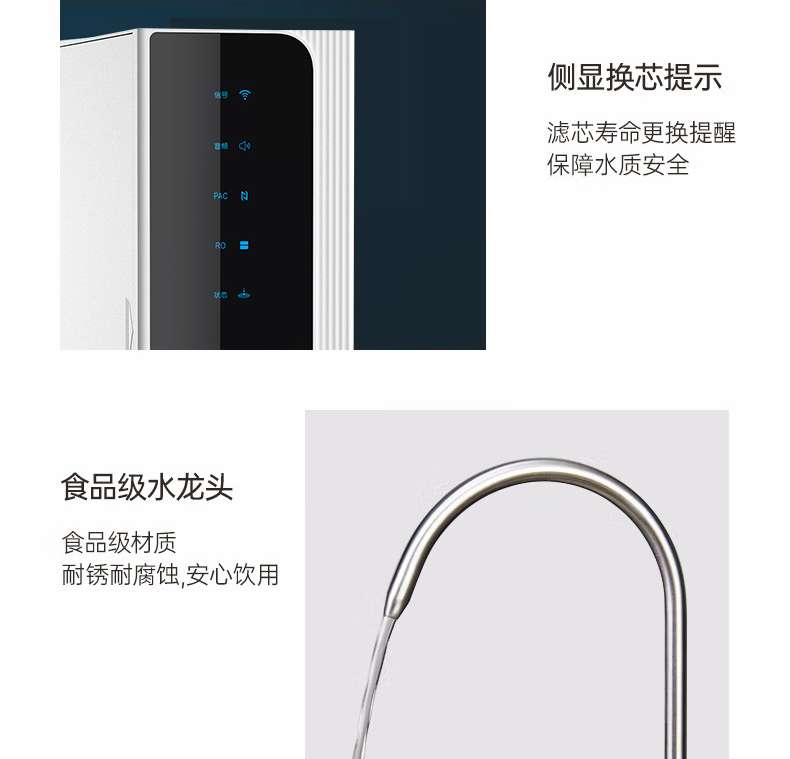 大龙豚详情_21.jpg