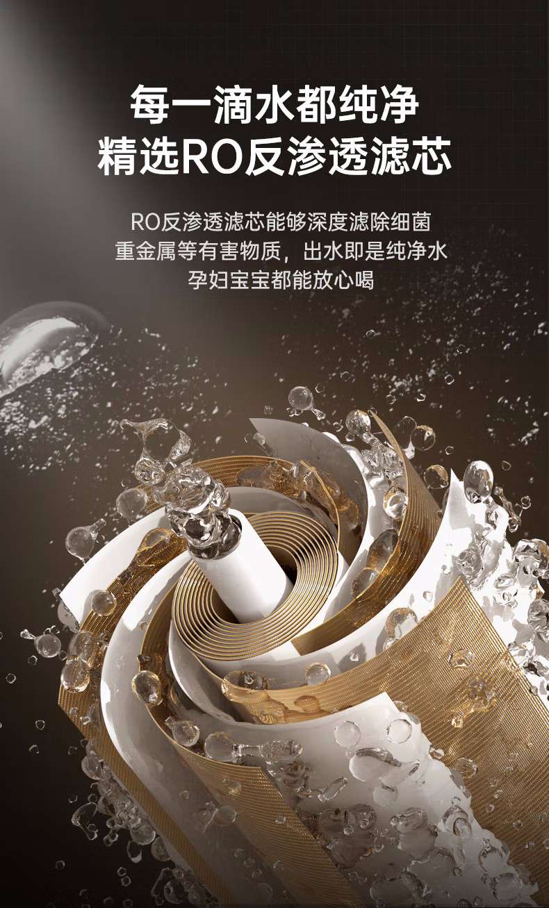 大龙豚SX_06.jpg