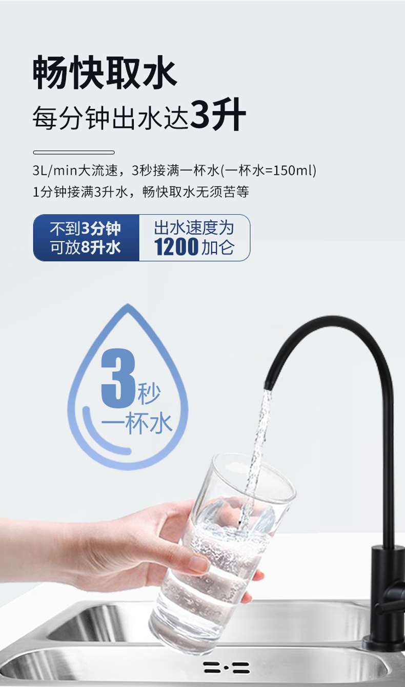 大龙豚SX_07.jpg